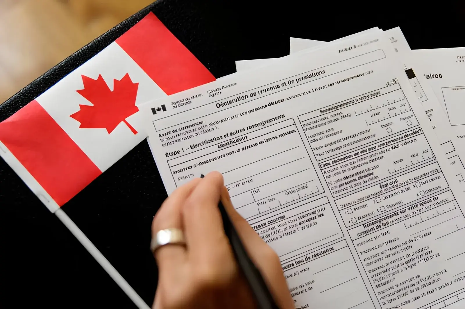 Step by Step Guide for Business Owners to Prepare the T5 Slip in Calgary