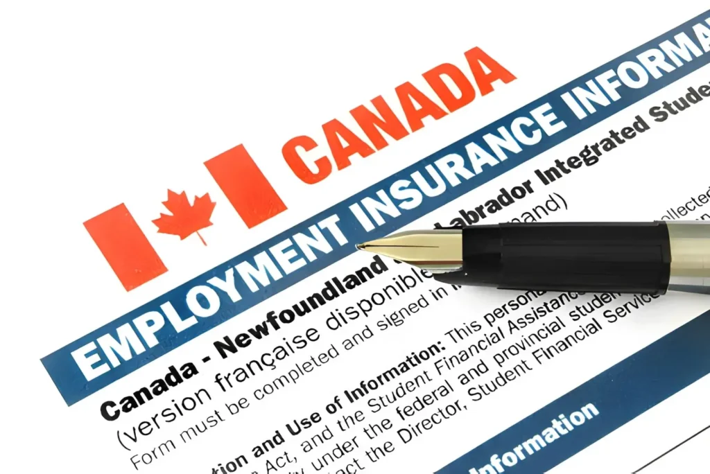Types of Employment Insurance Benefits in Canada